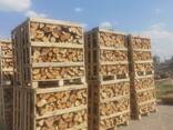 Apple tree firewood - фото 2