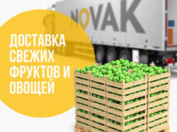 Автомобильные перевозки Беларусь - Грузия - Беларусь