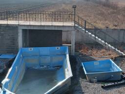 Бассеин 11 метров