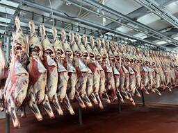 БЕЛОРУССКАЯ ГОВЯДИНА от производителя АЛЕКСАНДРОВ, доставка в Грузию