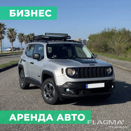 Бизнес по аренде автомобилей в Батуми