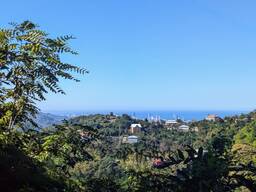 Большой земельный участок в селе Королистави