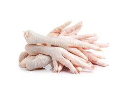 Bulk Brazil Frozen Chicken Feet / Chicken Paws For Sale