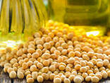Crude Soybean oil, unrefined, DSTU 4534:2006 - фото 1