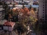 Exclusive Duplex in the center of Tbilisi, Georgia - фото 12