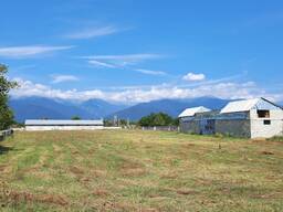 Фермерское хозяйство