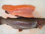 ASC, MSC frozen fish products from the cold store in Lithuania. - фото 12