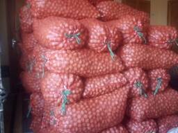 Грецкий орех