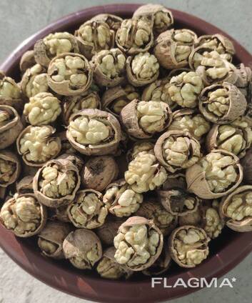 Грецкий Орех в скорлупе