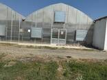 Greenhouse - фото 1