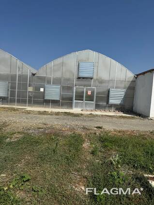 Greenhouse