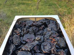 Грузинский чернослив — промышленная сушка | Натуральный продукт