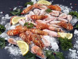 Креветки Северные 70/90