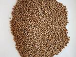 Крупа гречневая - фото 5
