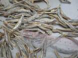 Купить сушеную рыбу в Грузию от производителя из Вьетнама. - фото 4