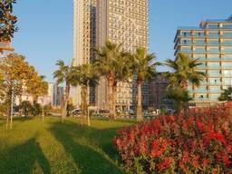 Двухкомнатная квартира