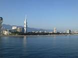 Квартира на Аллее Героев в городе Батуми - photo 7