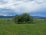 Non agrocultural land in Dusheti Near lake Bazaleti - photo 1