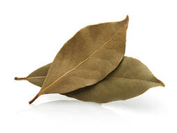 Лавровый лист куплю 150-300 кг