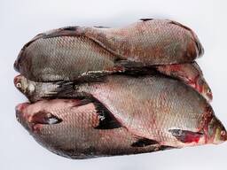 Лещ Астрахань свежемороженый