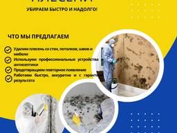 Мастер на час, чистка от плесени и уборка квартир и помещении (клининг)
