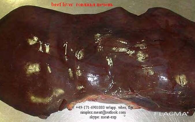 Meat мясо
