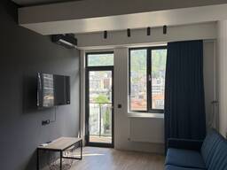 Modern 1-Bedroom Apartment for Rent in Central Tbilisi