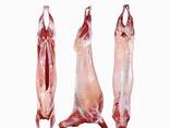 Мясо говядина баранина курица индейка утка - фото 6