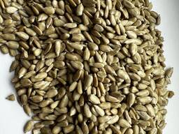 მზესუმზირის ბირთვი