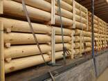 Оцилиндрованное бревно - фото 9