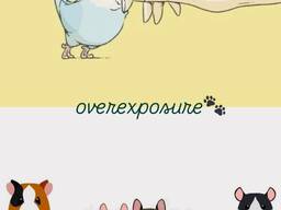 Передержка грызунов и птиц