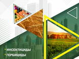Пестициды на экспорт - фото 1