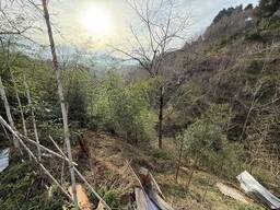 Продается не сельхозназначения земля, 5 километров от Батуми.