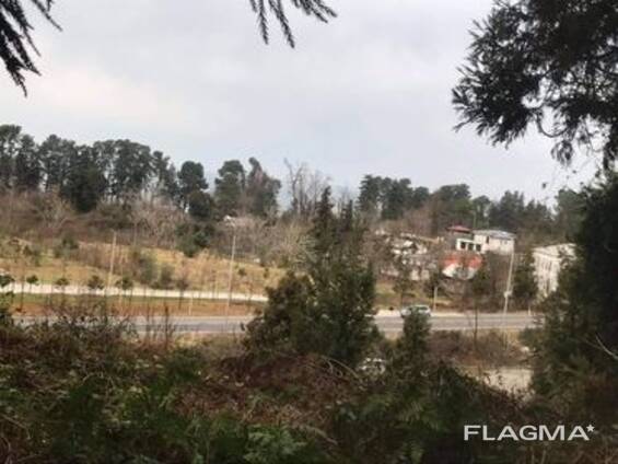 Продается участок Кобулети/Land plot for sale Kobuleti