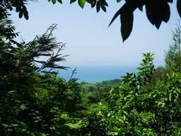 Продается участок рядом Батуми