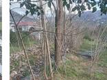 Продается участок рядом Батуми - фото 2