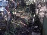 Продается участок домом не сельхоз назначения/Land for sale with a non-agricultural house - фото 3