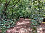 Продается в Озургети участок - photo 1
