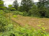 Продается земельный участок 1700 кв. м в Сарпи. - фото 3