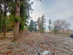 Продается земельный участок в Гонио