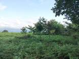 Продается земельный участок в Кобулети - фото 3