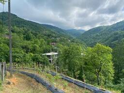 Продается земля