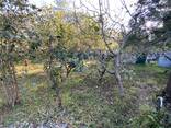 Продается земля не сельхозназначения, 6 км. от Батуми. - photo 3