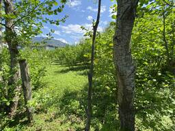 Продается земля не сельхозназначения, район Мтирала.