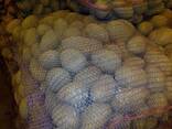 Продам картофель, урожай 2022