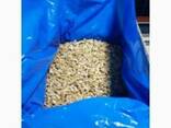 Продам орех грецкий оптом Nuts 1/2, 1/4, Mix. - фото 1