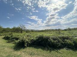 1,3 гектара твоей мечты — прямо на туристической трассе Цхалтубо!