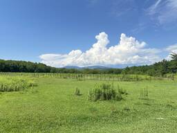 Продаётся редкий участок 3932 м² в окружении леса — всего 3 км от центра Цхалтубо!