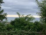 Продаётся участок в Аджарии/Land for sale in Adjara - фото 2