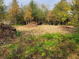 Продаётся земельный участок в Ахалшени, в селе Ганахлеба